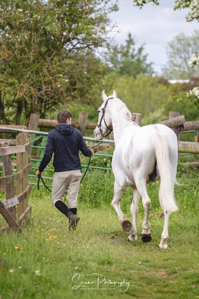 Equine portrait photography nottingham male jockey walking leading out horse to field